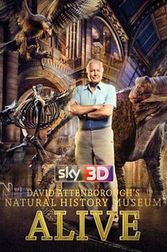 David Attenborough's Museum Alive 3D Poster